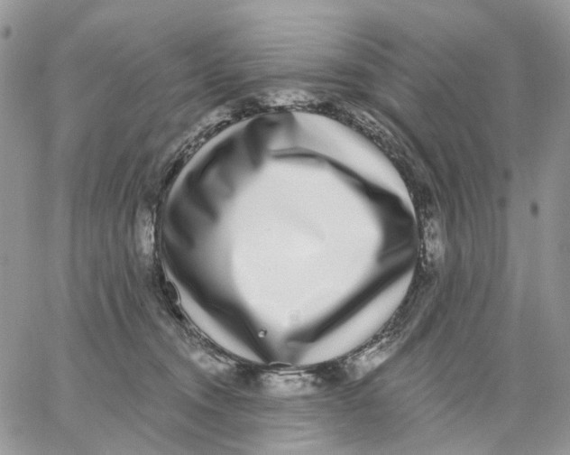 X0000062840372200602031608
