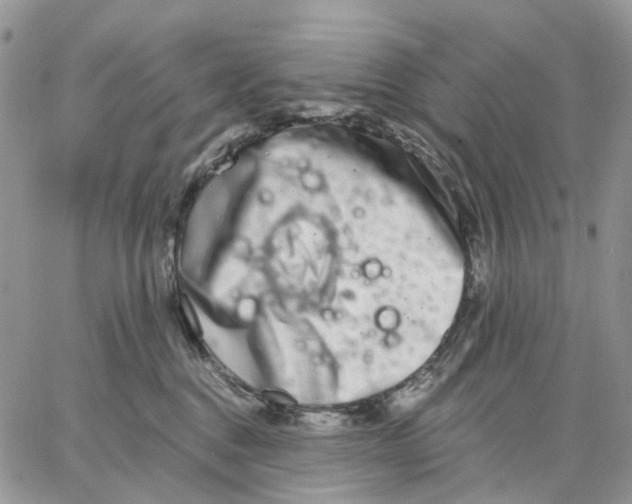 X0000062840376200602031608