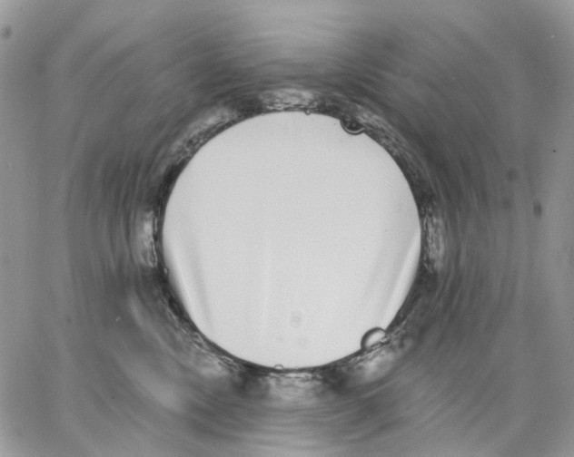 X0000062840378200602031608