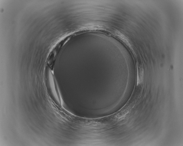 X0000062840387200602031607