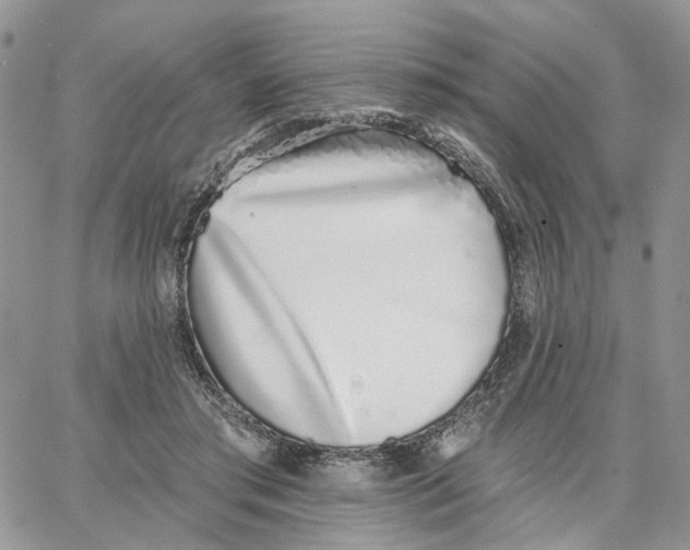 X0000062840405200602031607