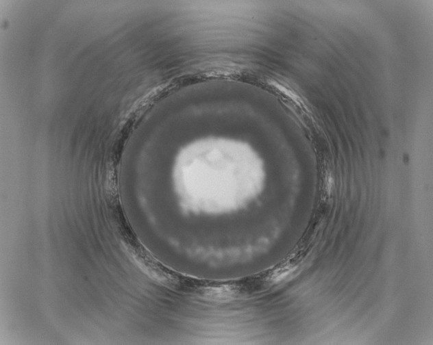X0000062840411200602031607