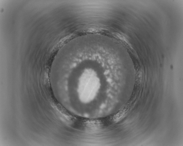 X0000062840415200602031607