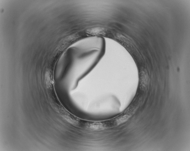 X0000062840420200602031607