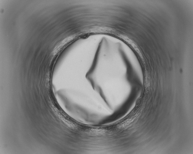 X0000062840437200602031606