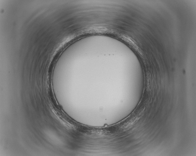 X0000062840439200602031606