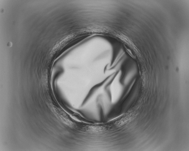 X0000062840442200602031606