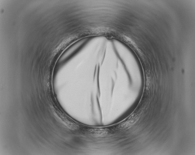 X0000062840443200602031606