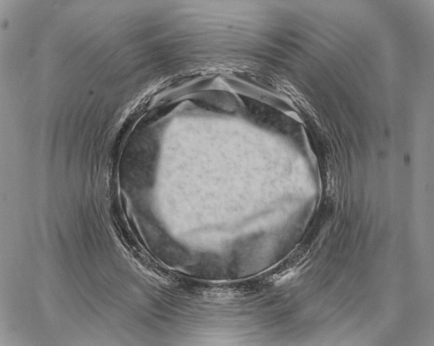 X0000062840444200602031606