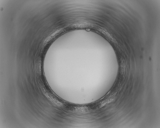 X0000062840446200602031606