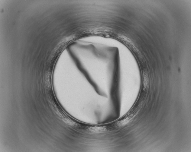 X0000062840453200602031606