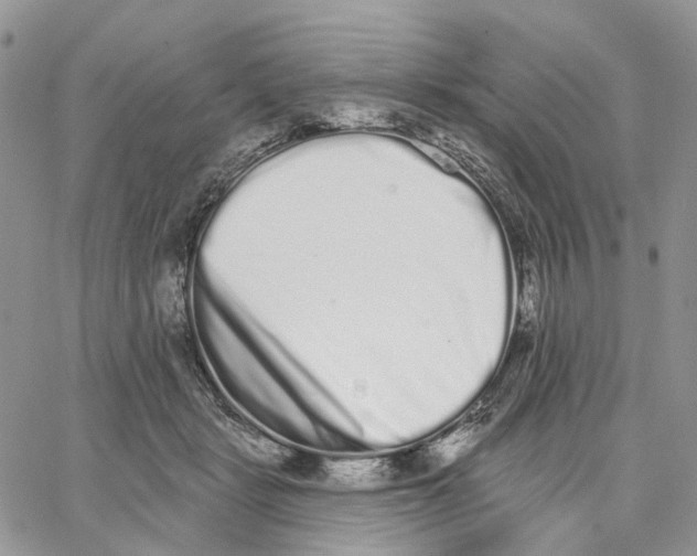 X0000062840461200602031606