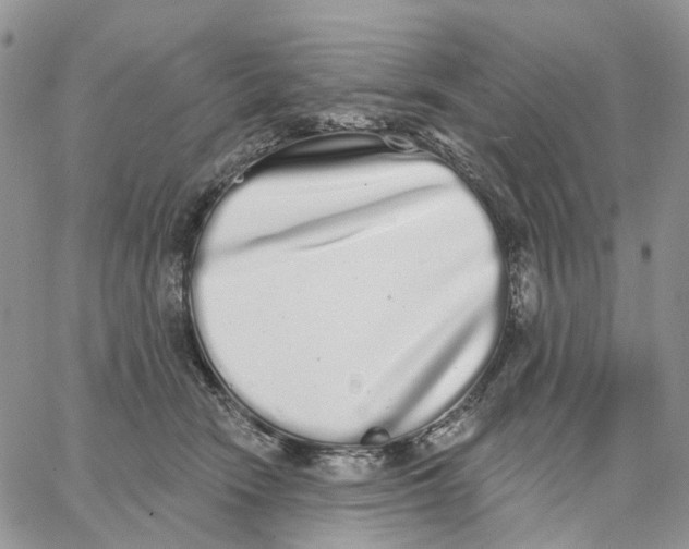 X0000062840466200602031606