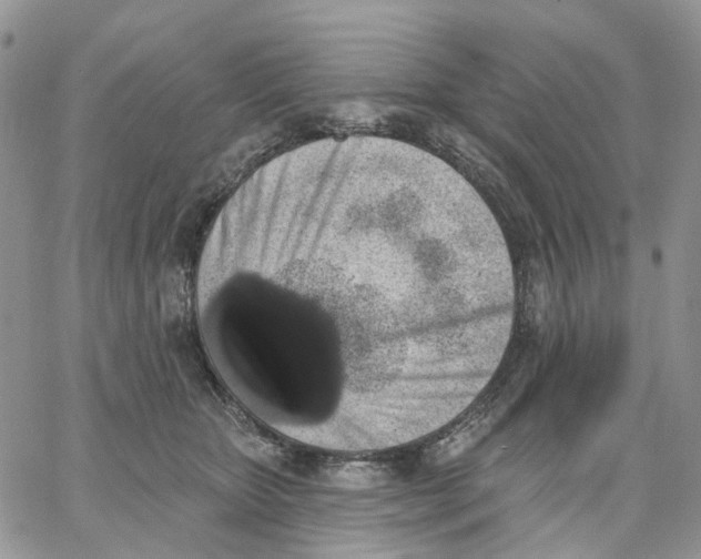 X0000062840467200602031606