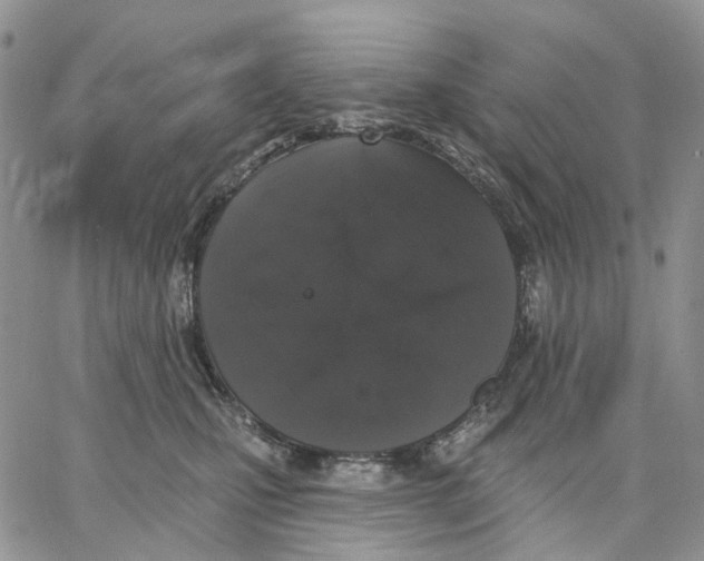 X0000062840471200602031606