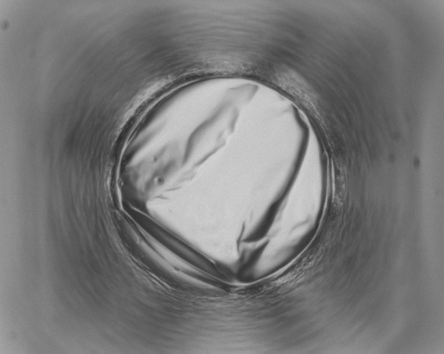 X0000062840483200602031606