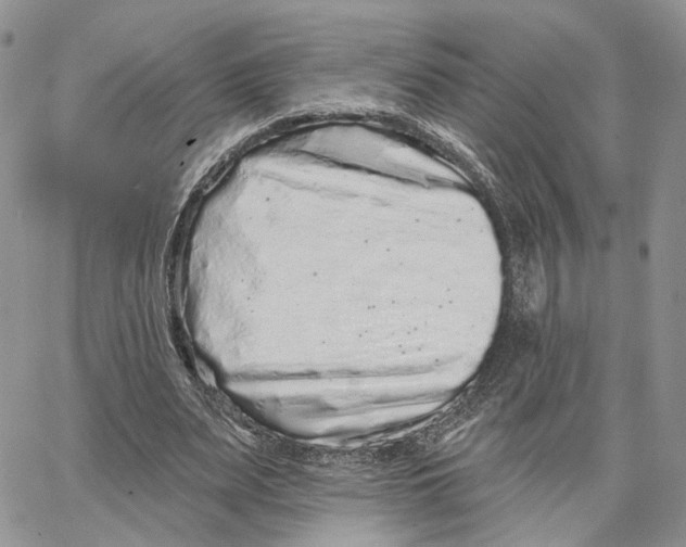 X0000062840487200602031605