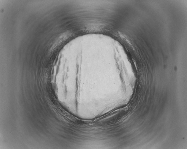 X0000062840495200602031605