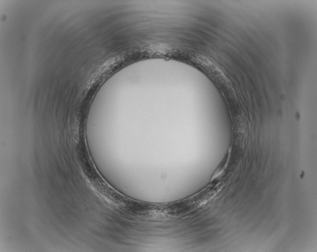 X0000062840496200602031605