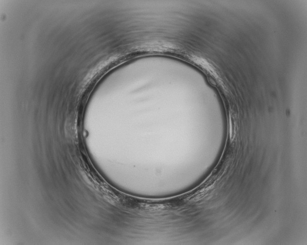 X0000062840531200602031604