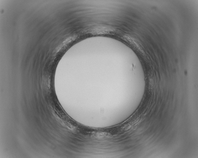 X0000062840539200602031604