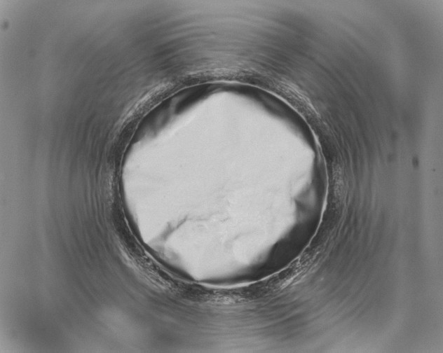 X0000062840542200602031604