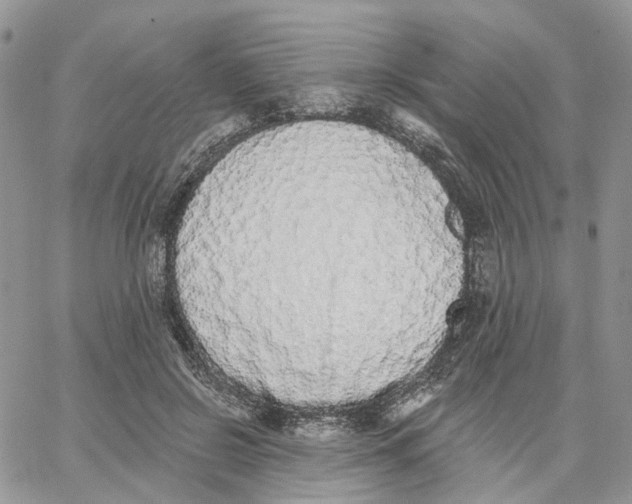 X0000062840550200602031604