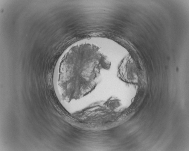 X0000062840565200602031605