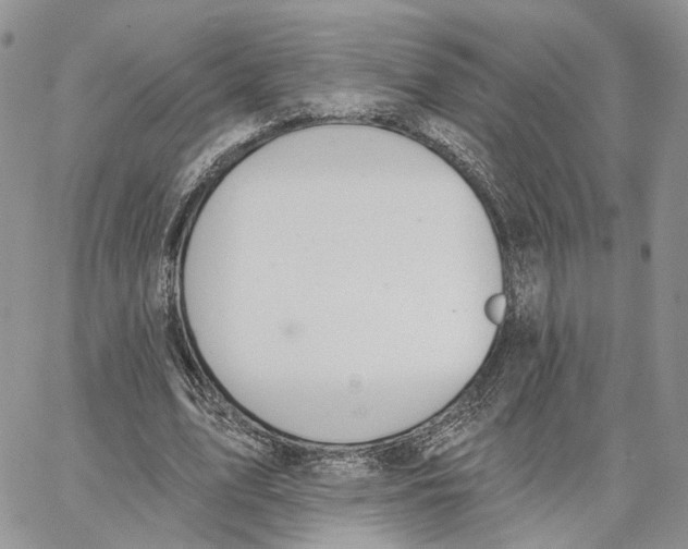 X0000062840583200602031604