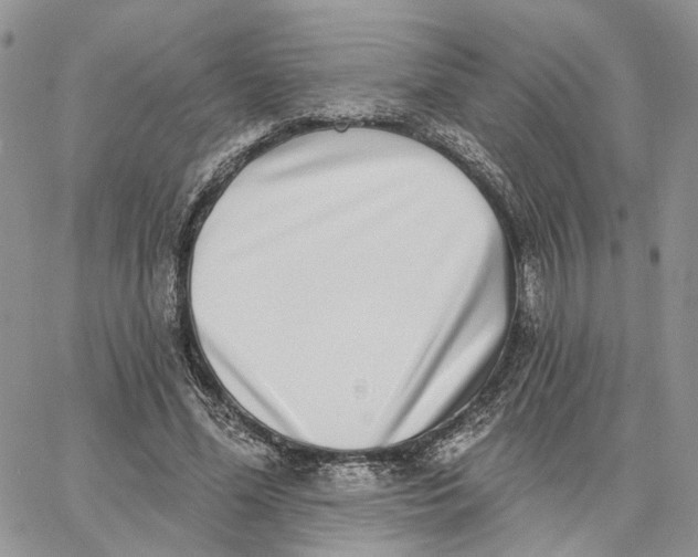 X0000062840588200602031604