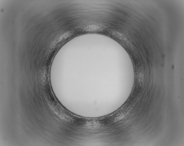 X0000062840591200602031604