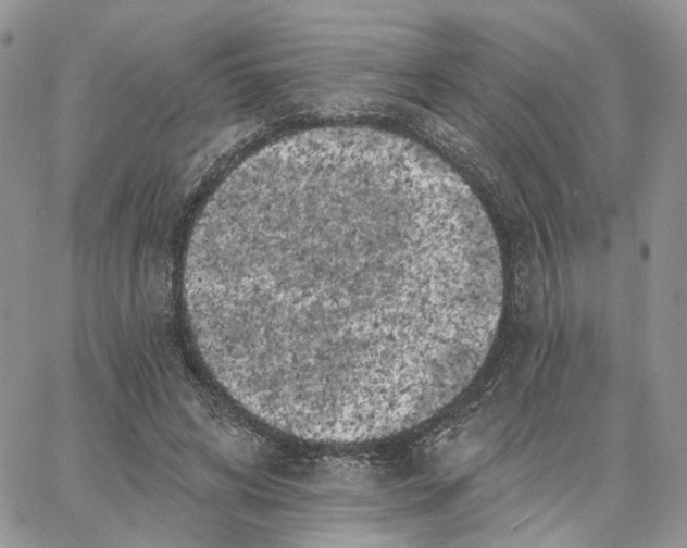 X0000062840592200602031604
