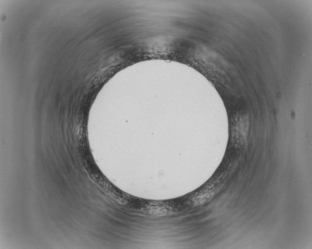 X0000062840608200602031603