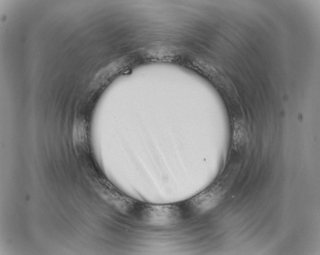 X0000062840623200602031603