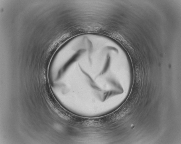 X0000062840634200602031603