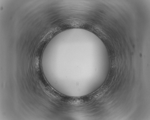 X0000062840646200602031603