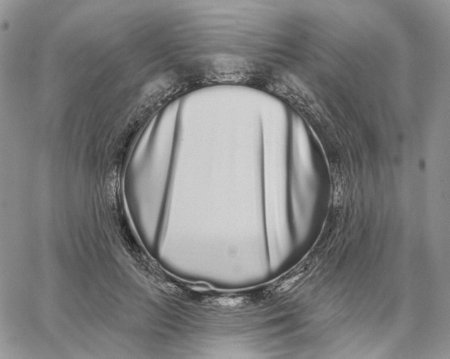 X0000062840647200602031603
