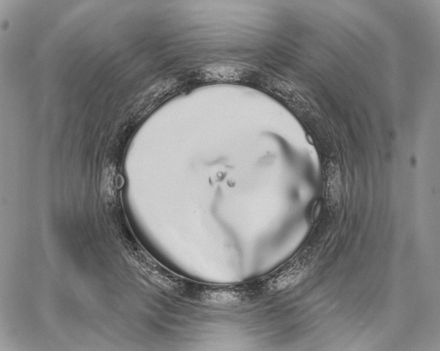 X0000062840649200602031603