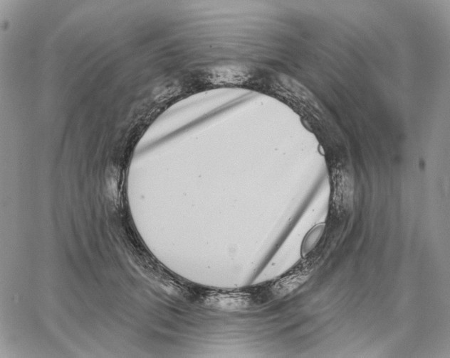 X0000062840655200602031603