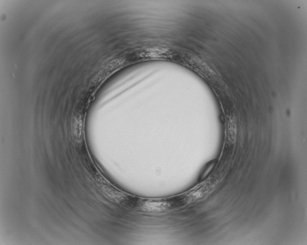 X0000062840657200602031603