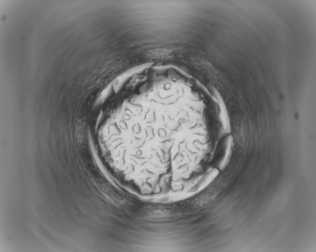 X0000062840658200602031603