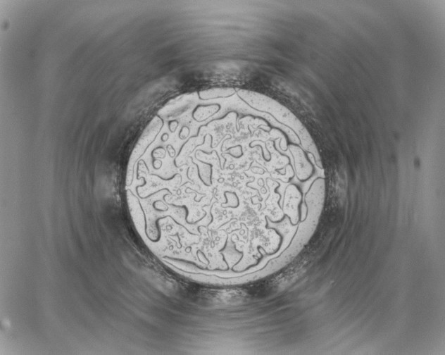X0000062840663200602031603