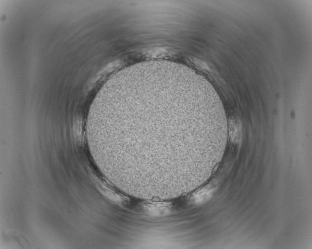 X0000062840670200602031603