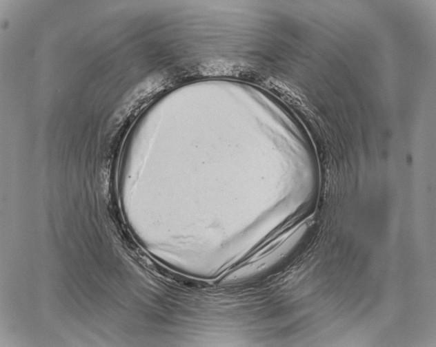 X0000062840687200602031602