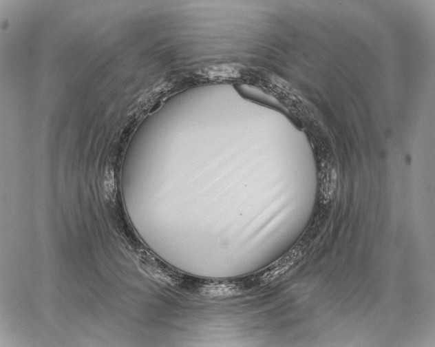 X0000062840704200602031602