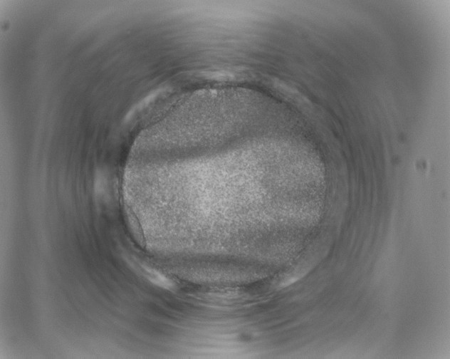 X0000062840720200602031602