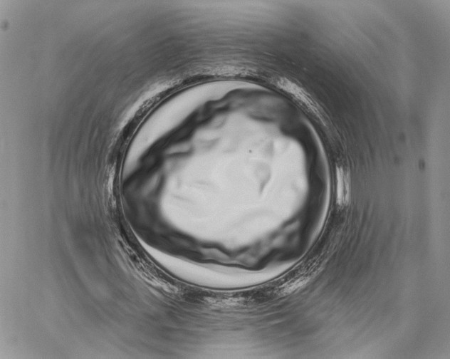X0000062840723200602031601