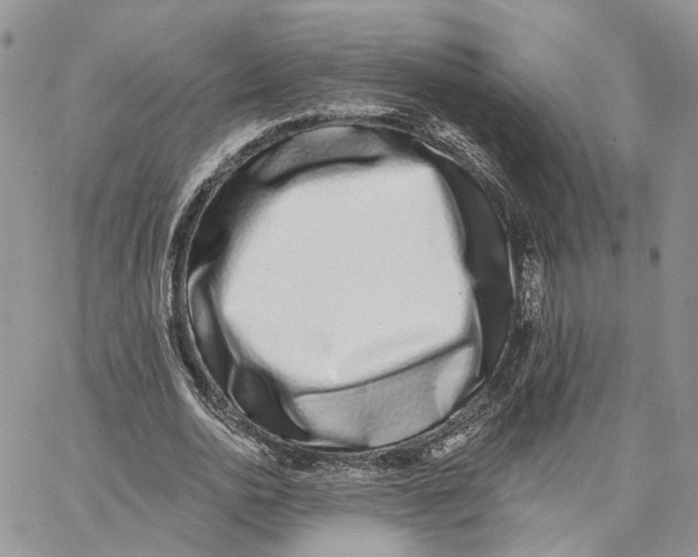 X0000062840726200602031601