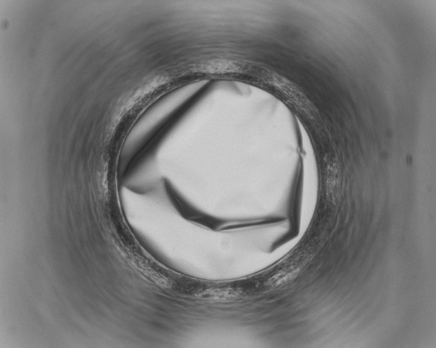 X0000062840727200602031601
