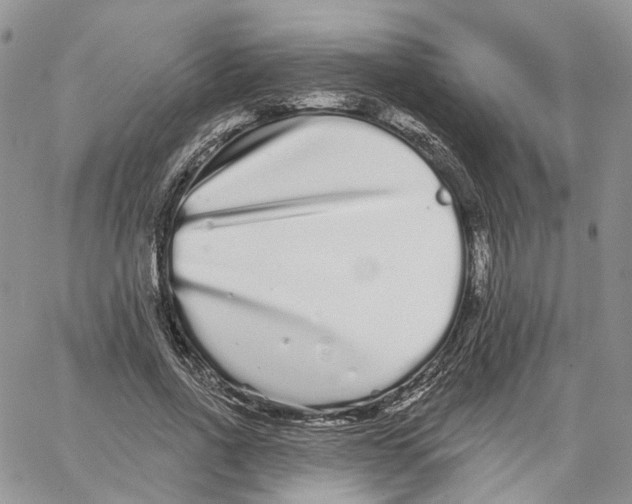 X0000062840734200602031601